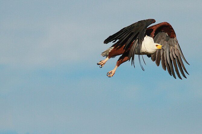 Boat & Safari Combo - Blyde Dam Boat Cruise & Private Safari - An Honest Look at the Itinerary
