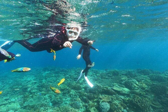 boat-snorkeling-trip-1-round-at-nakijin-kouri-island-okinawa