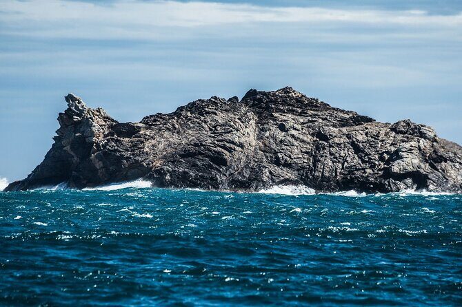Boat through Cap de Creus and Port Lligat visit Cadaqués 1H30 - Cap de Creus National Park