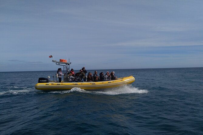 boat-tour-arrabida-coves