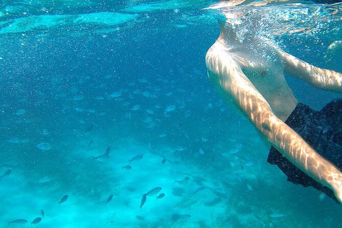 boat-tour-excursion-from-trapani-to-favignana-and-levanzo-8-hours-2