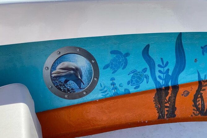 boat-tour-experience-sea-life-up-close
