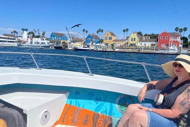 boat-tour-experience-sea-life-up-close
