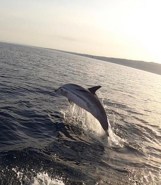 boat-tour-exploring-and-searching-for-dolphins-in-acitrezza