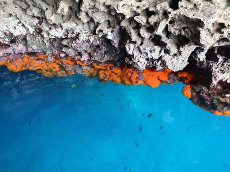 boat-tour-from-taormina-snorkeling-half-day
