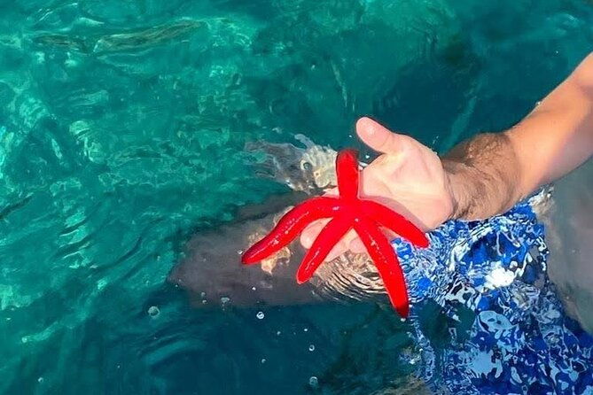 boat-tour-giardini-naxos-taormina-isola-bella-blue-grotto