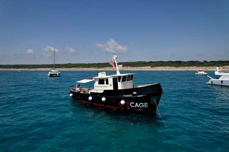 Boat tour Golfo Aranci: Tavolara and Molara Marine Protected Area - Discovering Sardinia’s Hidden Coastal Gems on a Historic Tugboat Tour