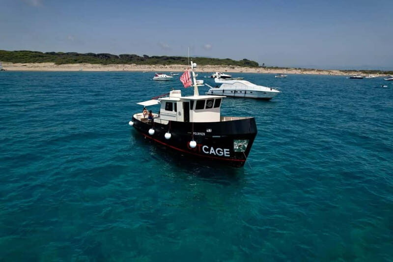 Boat tour Golfo Aranci: Tavolara and Molara Marine Protected Area - What Sets This Tour Apart