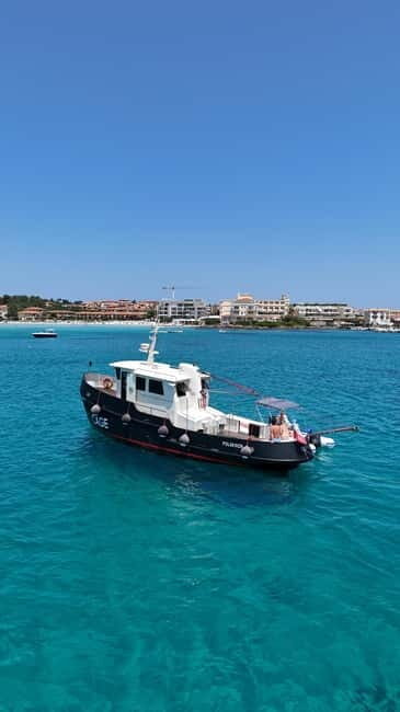 Boat tour Golfo Aranci: Tavolara and Molara Marine Protected Area - Who Would Love This Tour?