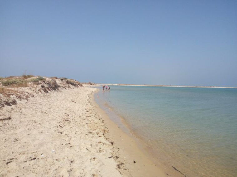 boat-tour-in-ria-formosa-5h