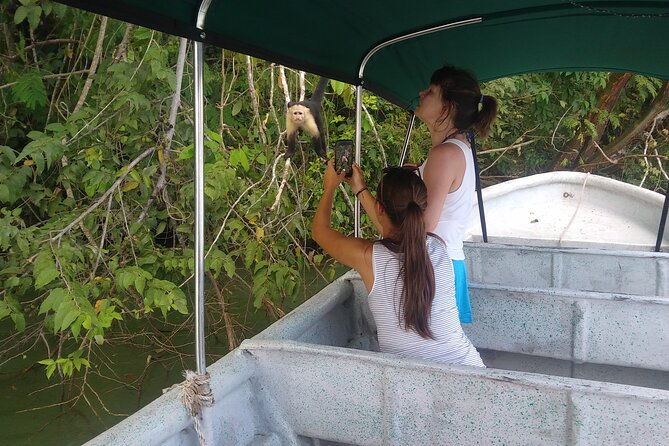 boat-tour-in-the-panama-canal-to-monkeys-and-sloths-islands