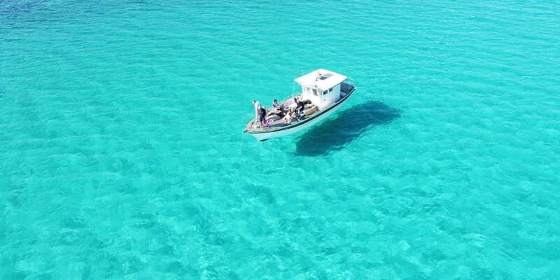 Boat tour of Asinara at sunset with aperitif on board - Who Would Enjoy This Experience?