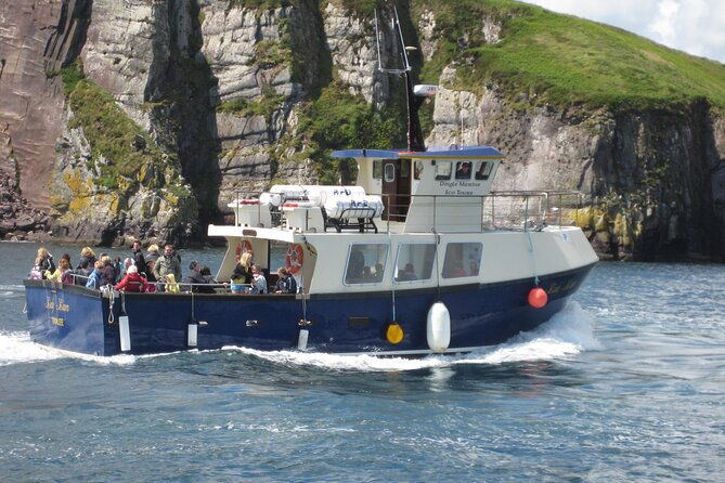 boat-tour-of-dingle-peninsula