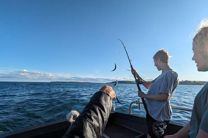 boat-tour-of-kinsale-harbour-and-bandon-river