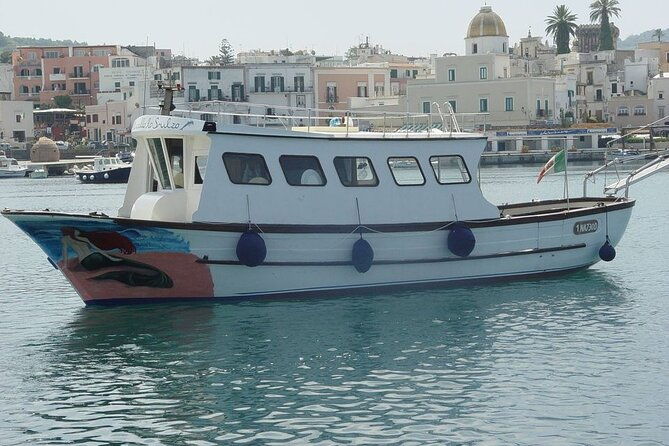 boat-tour-of-the-island-of-ischia-with-lunch-and-bath