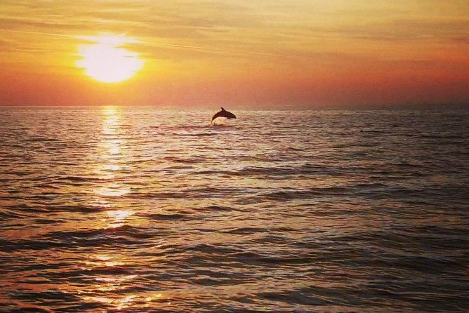 boat-tour-swimming-snorkeling-south-istria-kamenjak-premantura