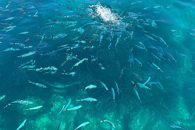 boat-tour-to-procida-and-ischia-discover-private-secret-beaches