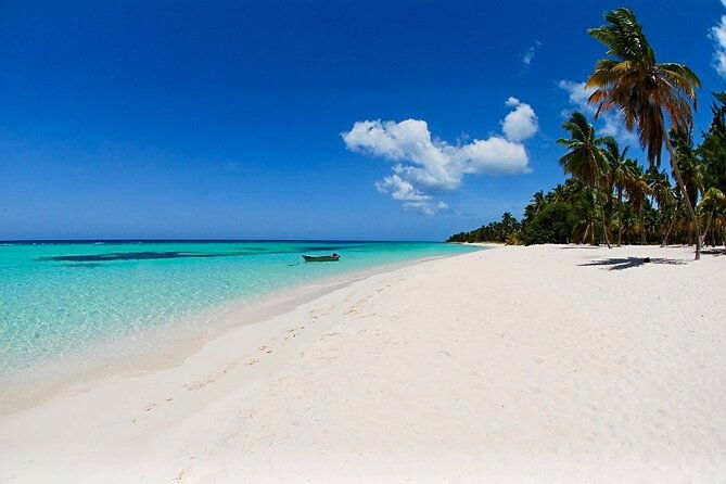boat-tour-to-toro-palmilla-beach-and-turtle-sanctuary