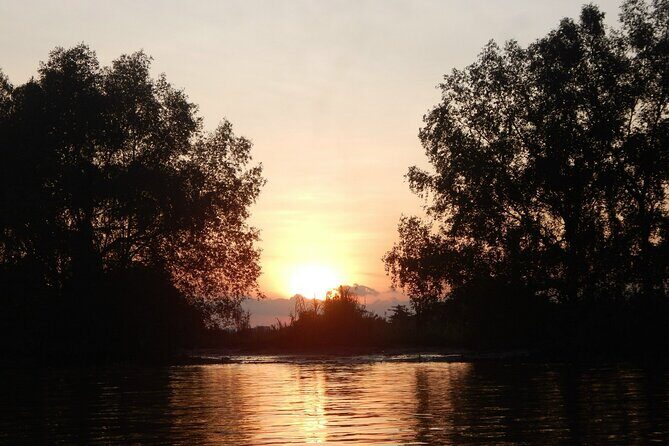 Boat tour visit 3 pagodas, Ancient house, see sunset on mekong river - The Sum Up