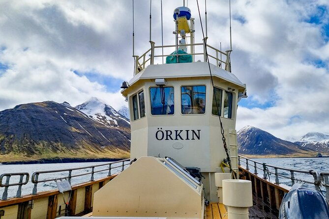 boat-tours-from-siglufjordur