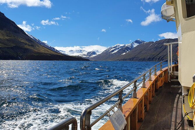 boat-tours-from-siglufjordur