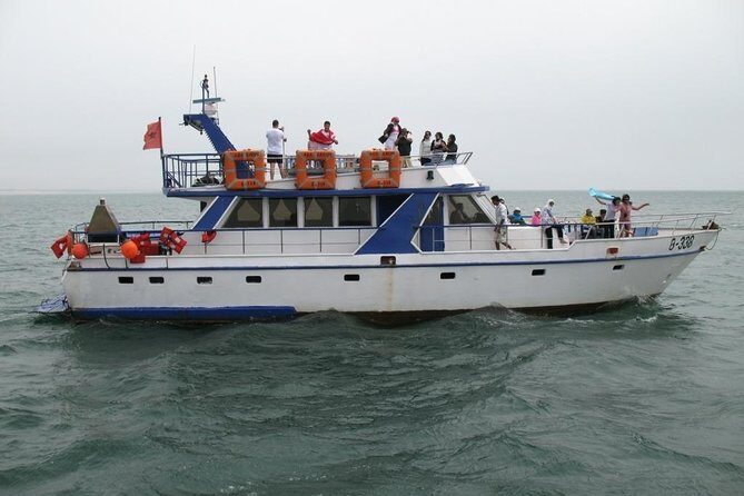 Boat Tours in Agadir lunch including ( sea food ) - An Authentic Day on the Water in Agadir: The Seafood & Fishing Boat Tour