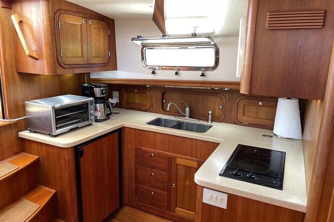 boat-tours-of-cape-ann-whale-or-seal-watching-lighthouses-and-harbor-cruises
