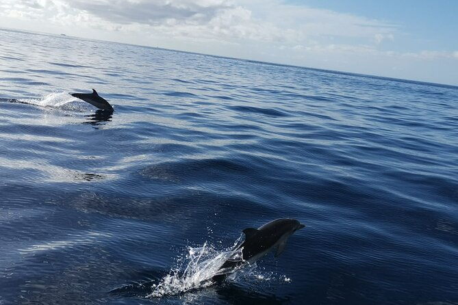 boat-trip-along-the-northwest-coast-of-la-palma