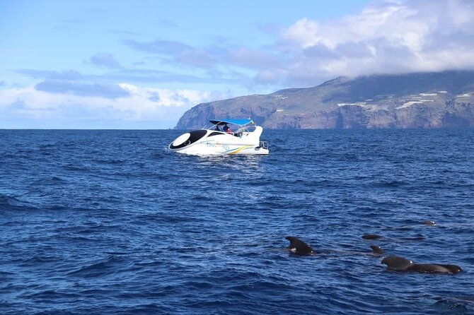 boat-trip-along-the-northwest-coast-of-la-palma