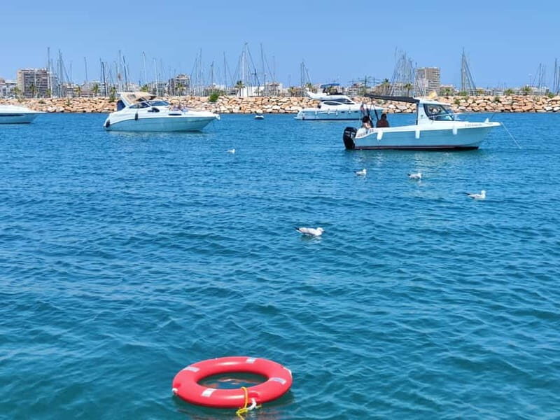 Boat trip and swimming in the sea - An Authentic Coastal Experience