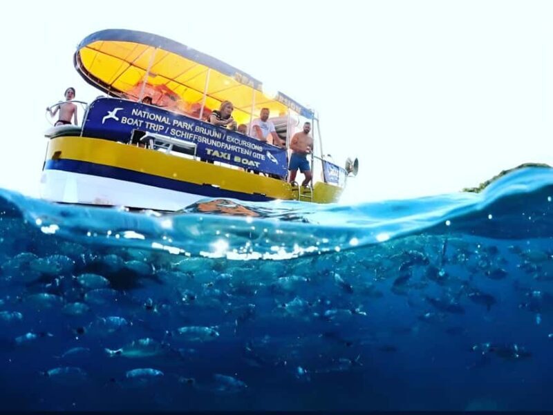 Boat Trip  Coastal Tour from Faana to Pula and snorkelling - Who Is This Tour Ideal For?