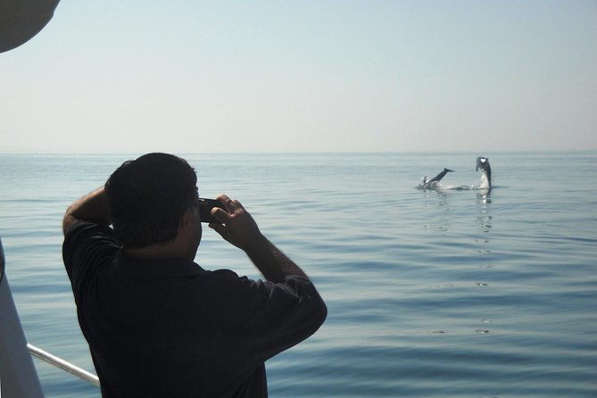 boat-trip-for-dolphin-watching-along-the-arrabida-coast-and-sesimbra-2