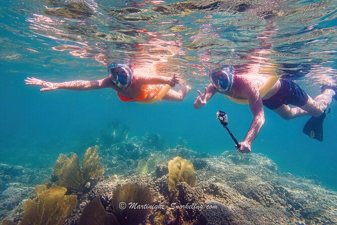 boat-trip-for-snorkeling-discovery-of-corals
