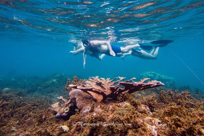 boat-trip-for-snorkeling-discovery-of-corals