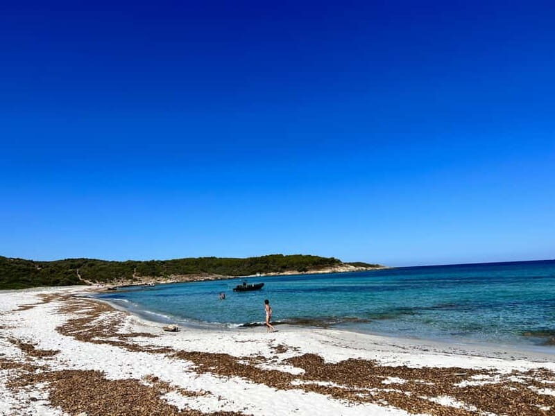 Boat trip from Calvi to the Agriate Desert - Why This Tour Is a Great Choice
