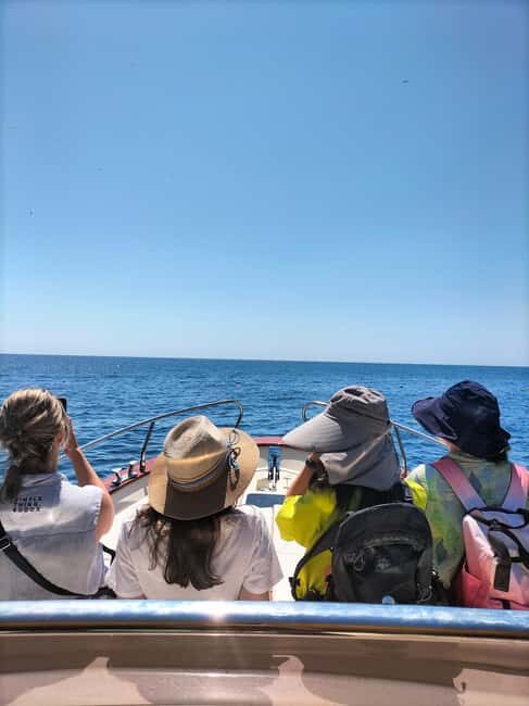 Boat trip from Castro to Malepasso with aperitif on board - In closing
