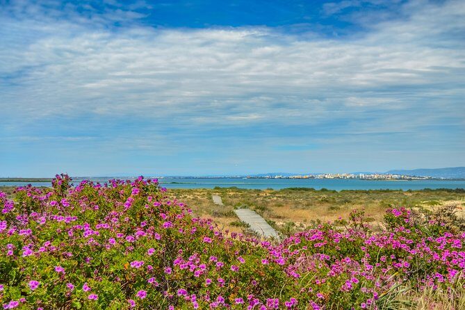 Boat trip from Faro to Ilha Deserta by Ferry - The Itinerary: What to Expect on Your Trip