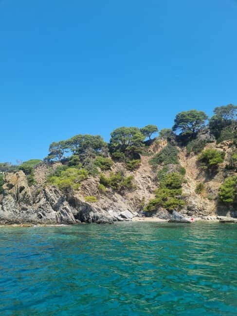 Boat trip in Giens for sunset - The Sum Up: Why Choose This Sunset Boat Trip?