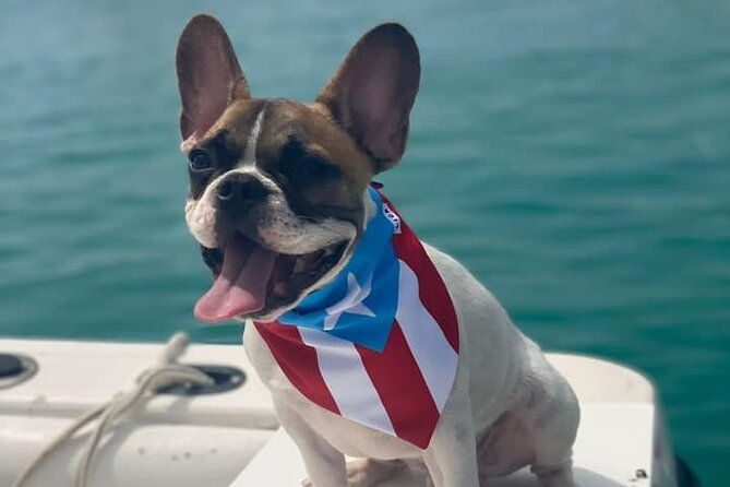 boat-trip-in-palomino-icacos-fajardo-puerto-rico