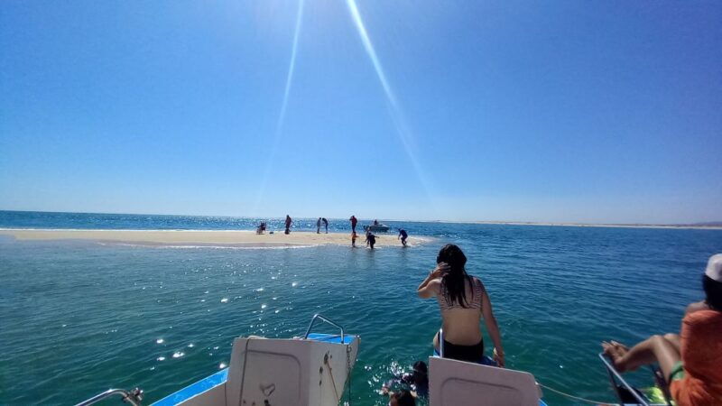 boat-trip-in-ria-formosa-3h