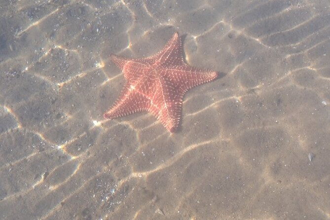 boat-trip-through-the-bay-of-paraty