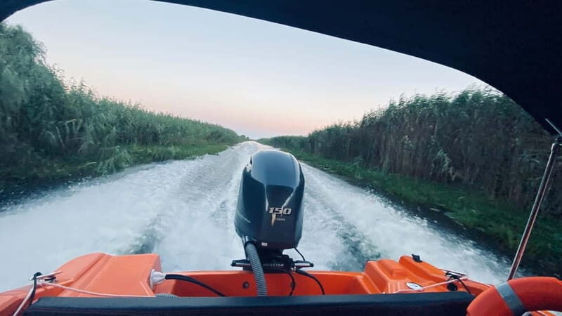 Boat Trip to Caraorman Forest  Danube Delta (5-6 hours) - An In-Depth Look at the Boat Trip to Caraorman Forest
