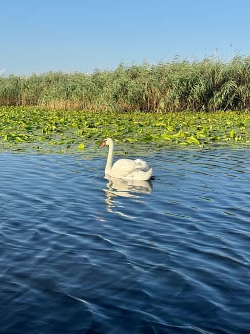 Boat Trip to Caraorman Forest  Danube Delta (67 hours) - FAQs
