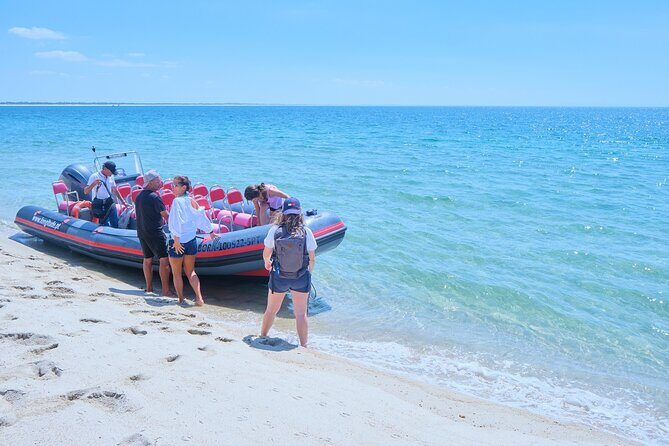 Boat trip to Foz do Sado, Troia and Arrábida, Setúbal - Practical Insights: What to Expect and Consider