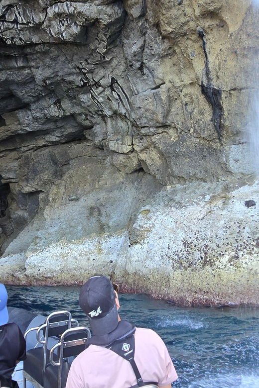 boat-trip-to-the-caves-and-waterfalls-of-flores-island