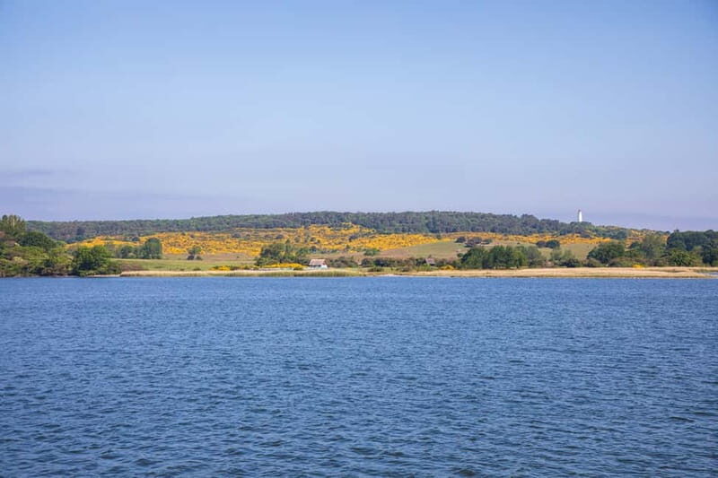 Boat trip to the Island of Hiddensee from Zingst - The Sum Up
