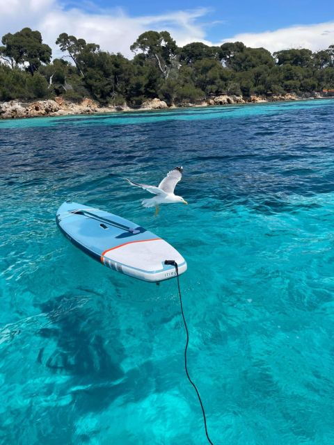 boat-trip-to-the-lerins-islands-and-cannes
