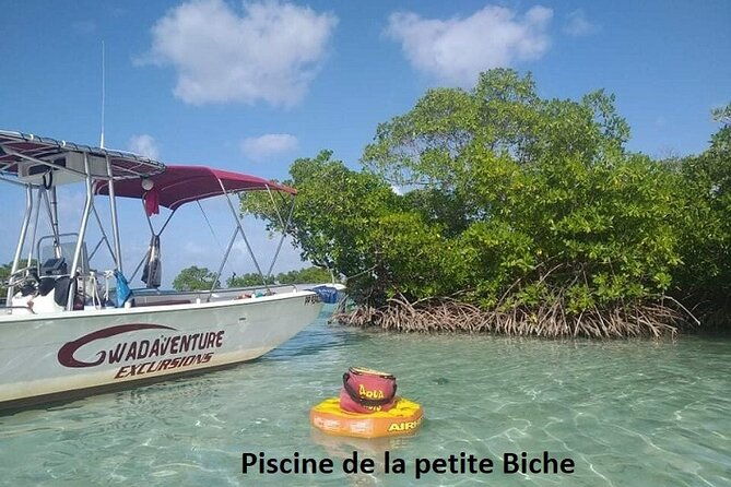 boat-trip-visit-mangroves-islets-and-lagoon