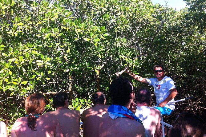 boat-trip-visit-mangroves-islets-and-lagoon