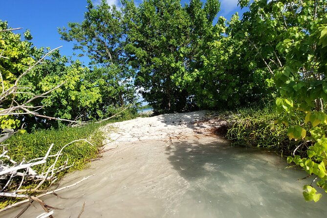 boat-trip-visit-mangroves-islets-and-lagoon